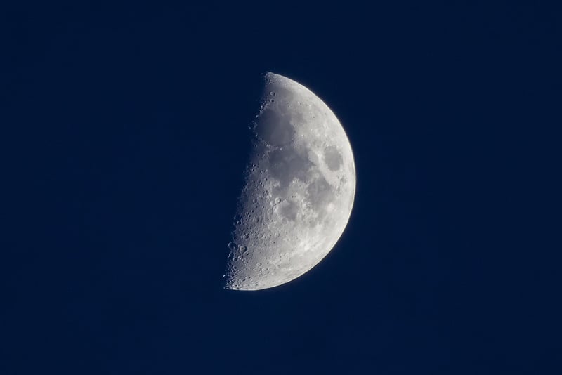 Lunar Love Frames