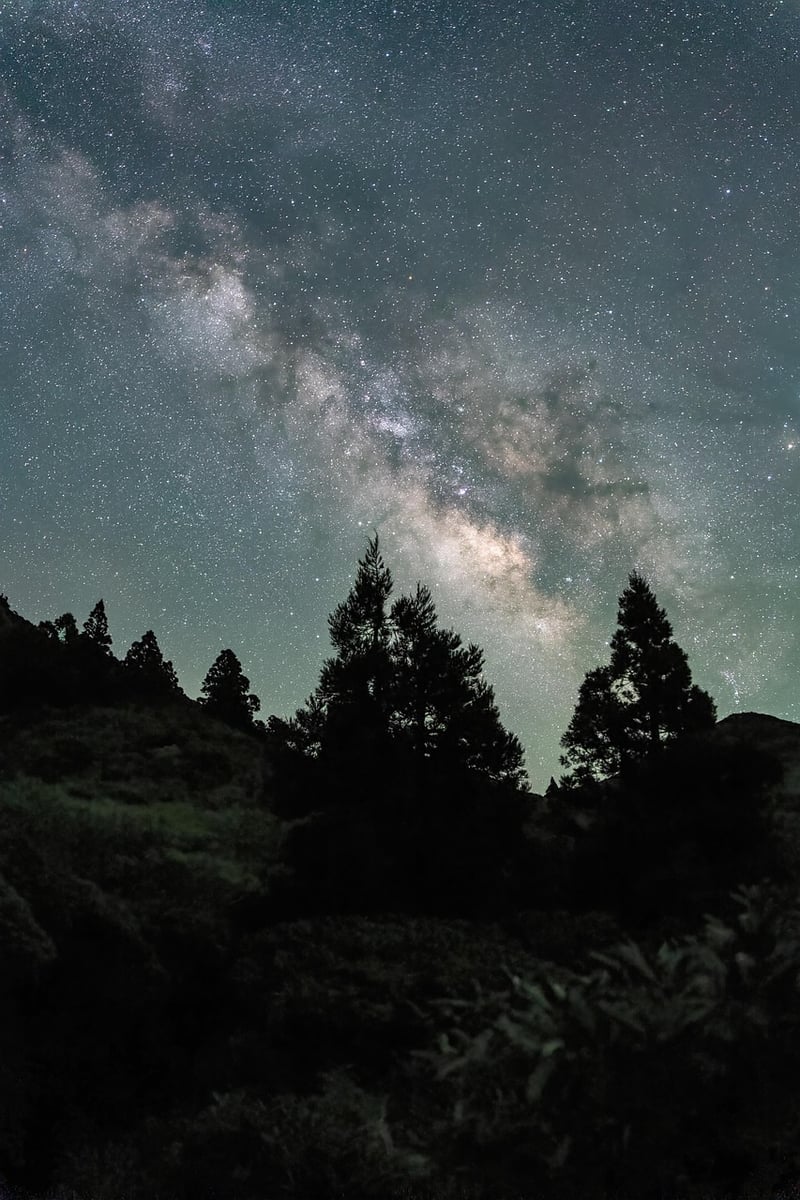 Galactic Wedding Rituals